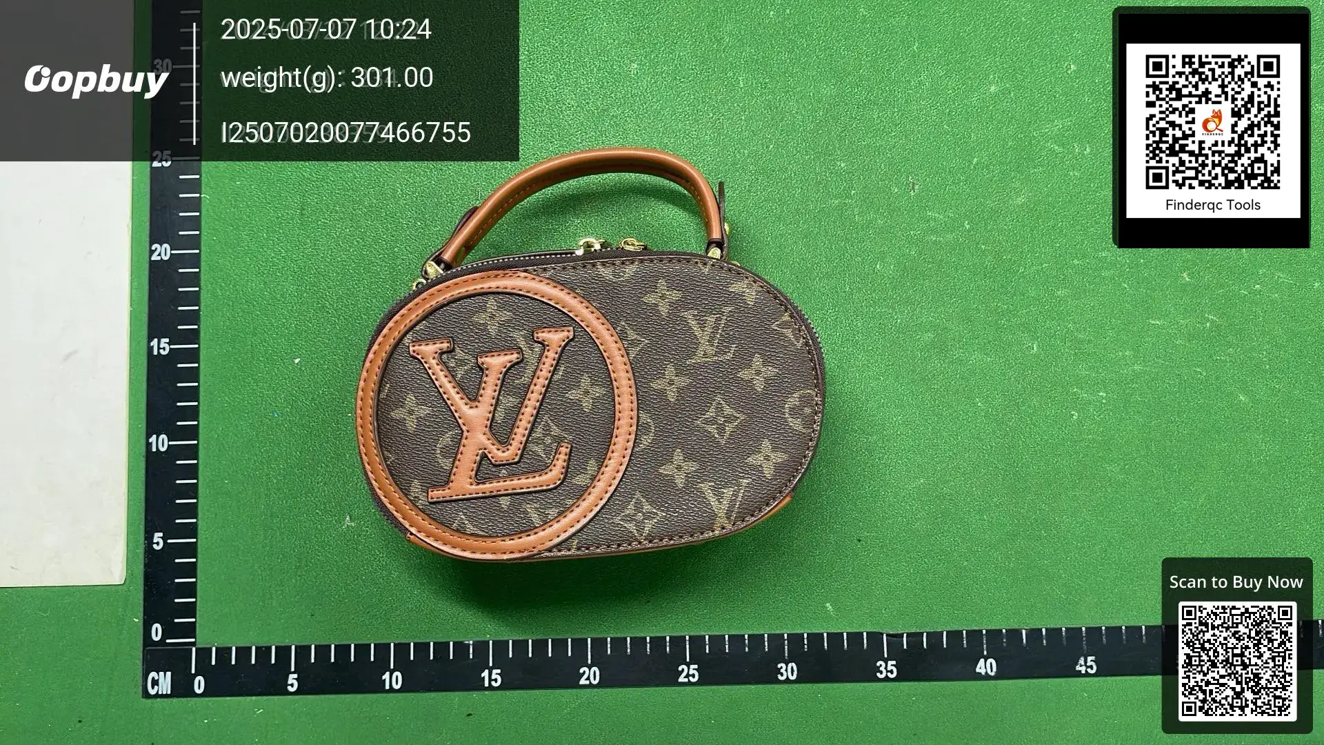 Louis Vuitton Vanity PM Monogram Canvas