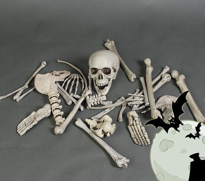 Halloween Skull Skeleton Movie and TV Scattered Bone Bag Chamber of Secrets Escape Ornaments Haunted House Horror Plastic Props Simulation
