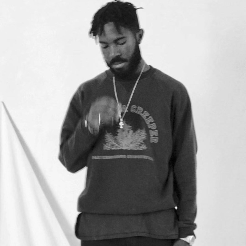 Raf Simons Vc 02Aw Plant Crewneck Archive QC-foto van TAOBAO op Qualit.ly