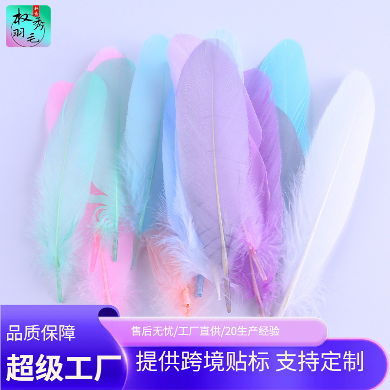 Factory wholesale shellfish feather goose feather diy handmade jewelry accessories crafts cat toys decorative feathers