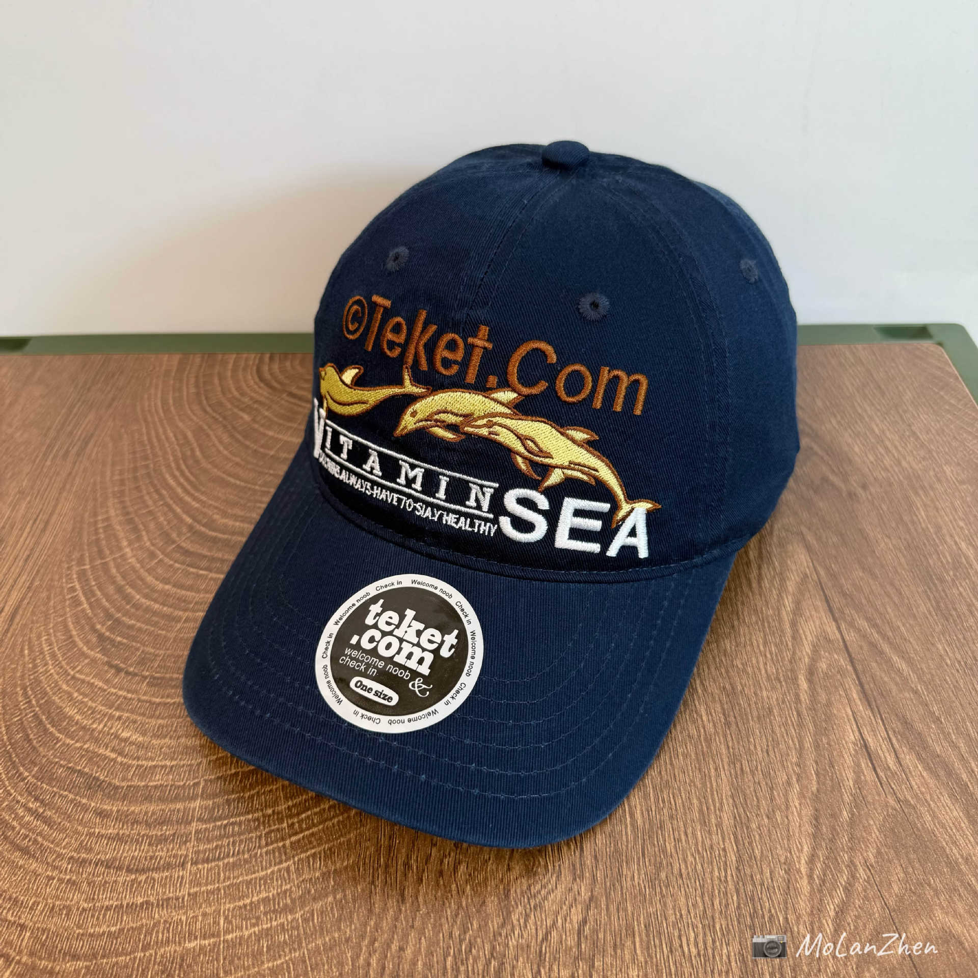 American Retro Dolphin Teket Letter Embroidery Baseball Cap, Washed Soft Top, Deepened Brim, Outdoor Sunshade Hat