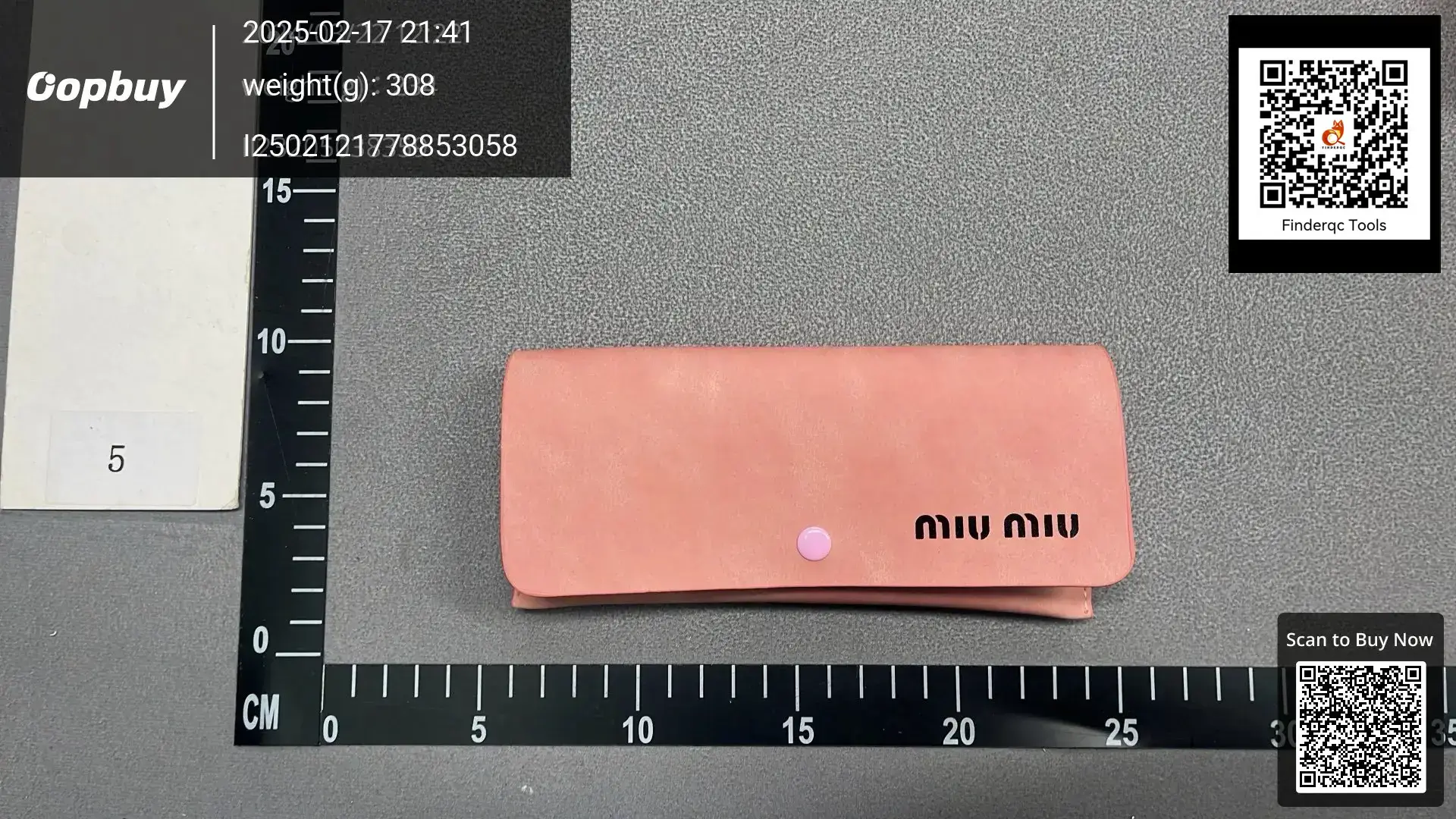 Miu Miu Pink Glasses Case