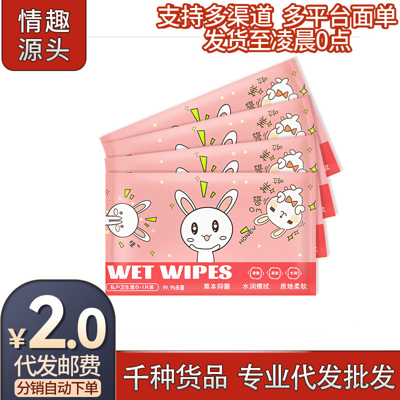 Disinfectant Wipes for Intimate Areas, 1 Piece Pack, for Cleaning and Hygiene, Wholesale on Meituan