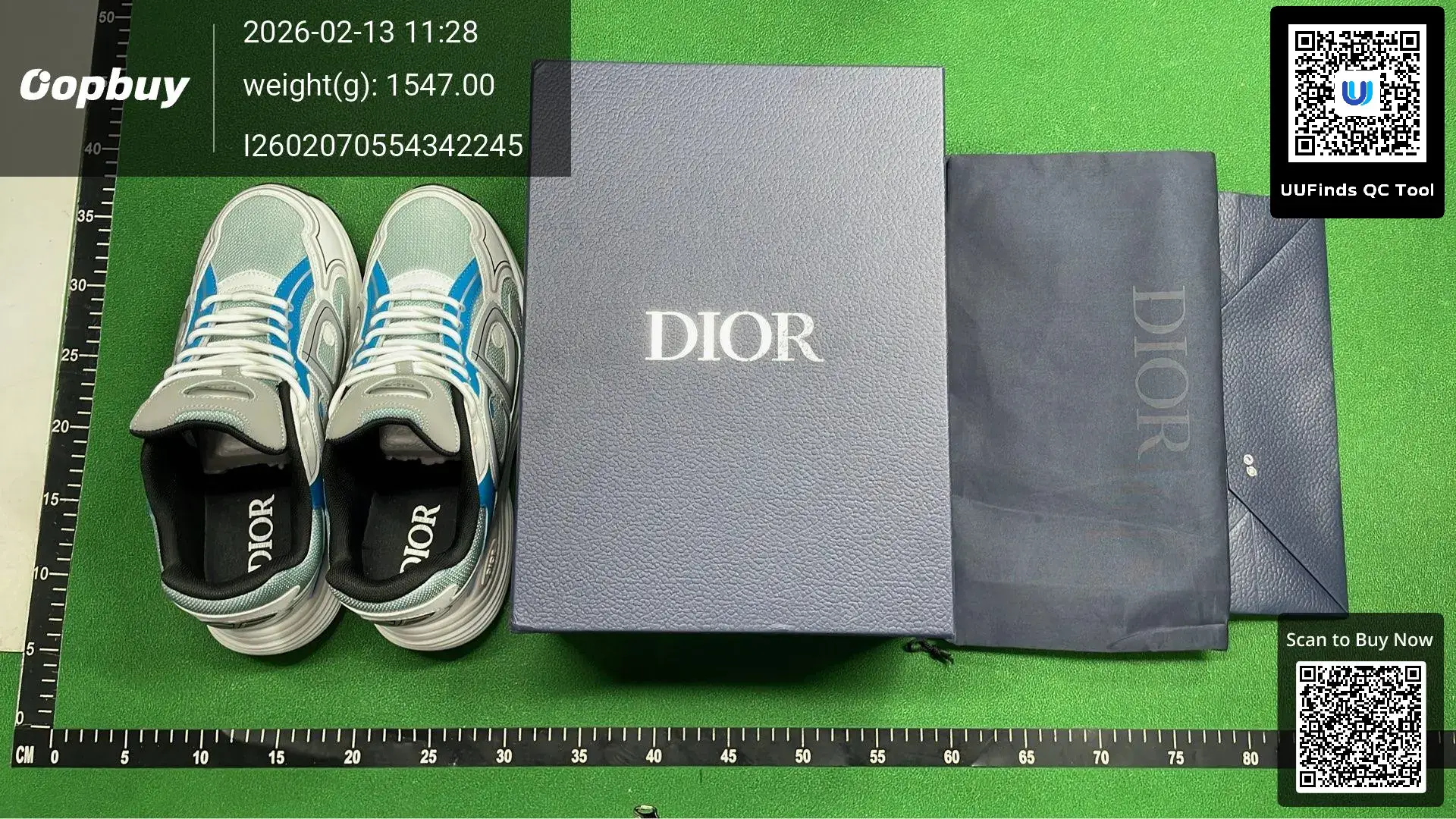 Dior B27 low top sneakers