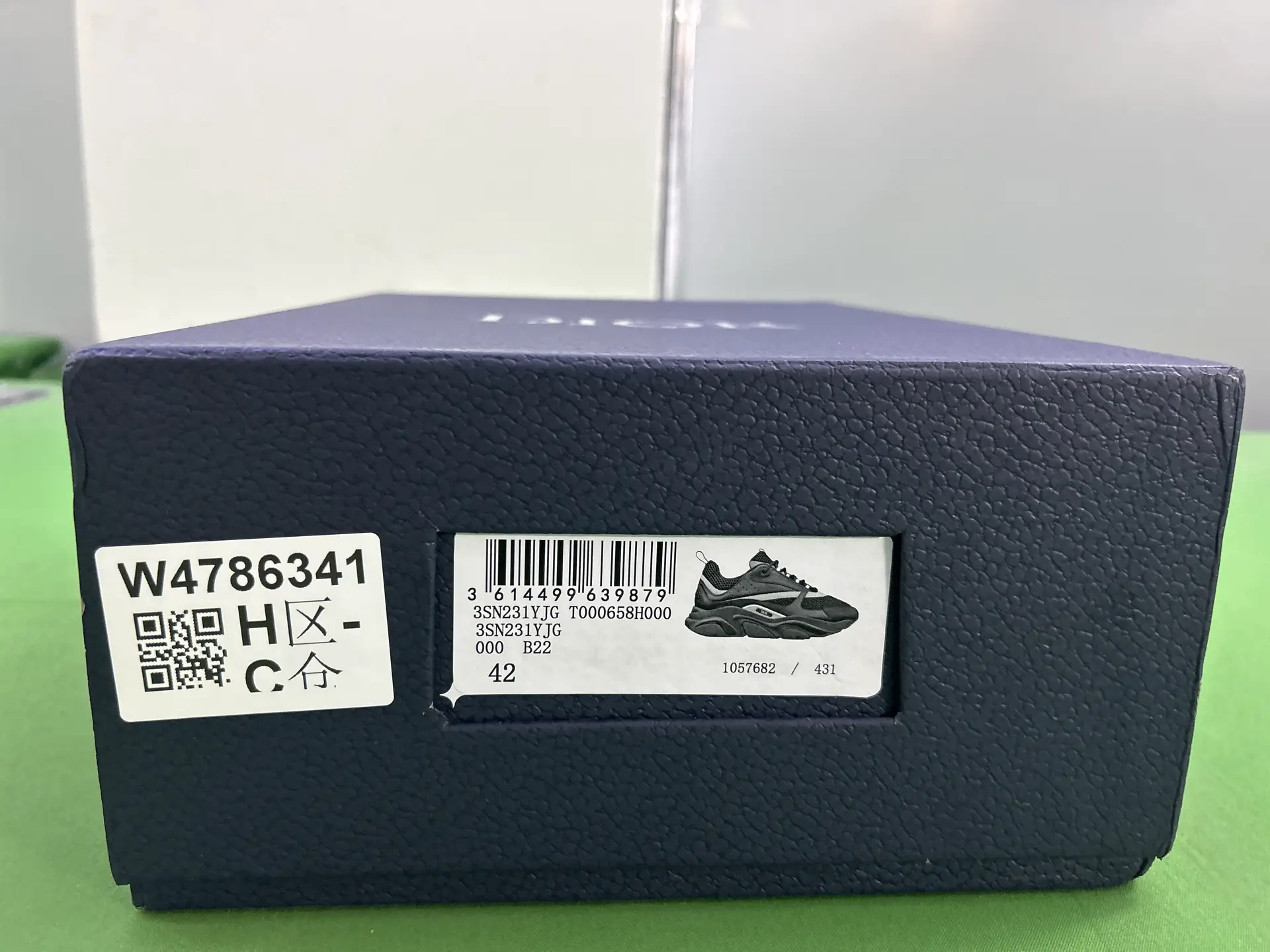 Dior B22 Sneaker