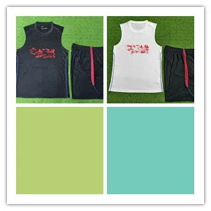26-27 P.Ari Player Vest+Shorts Kit【Id:7268051602】S-3Xl Foto QC de TAOBAO na Qualit.ly