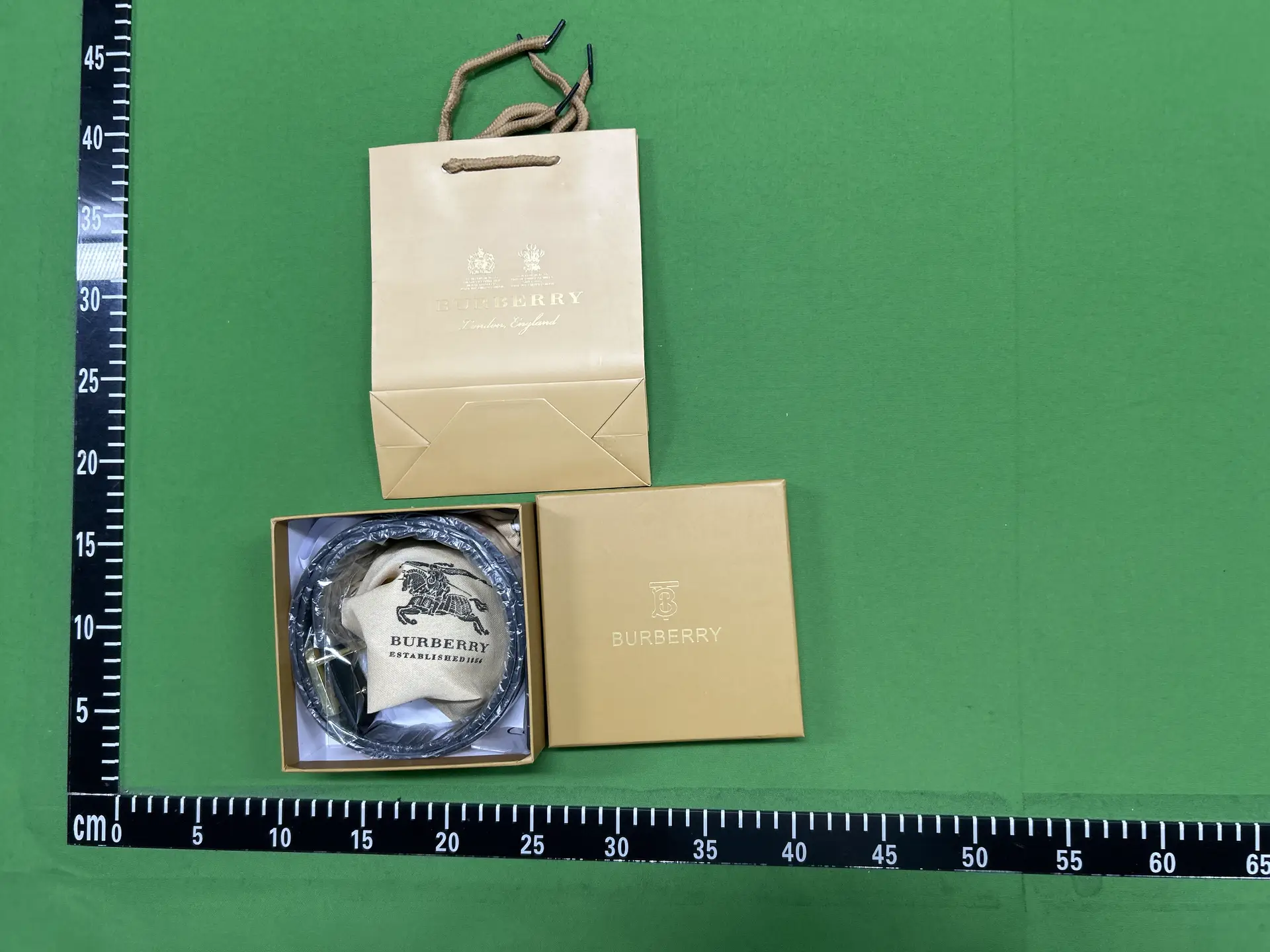 Burberry Belt