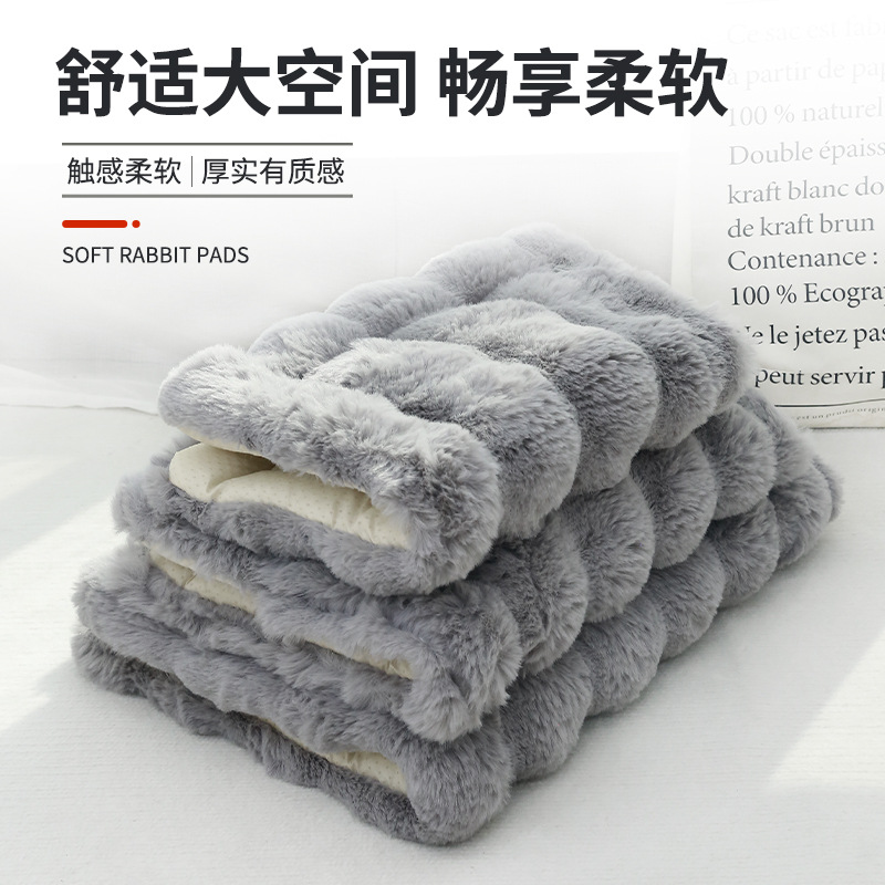 Cat Nest Milk Pad Cat Mat Sleeping Blanket Cat Mat Dog Mattress Extra Thickened Warm Pet Mat