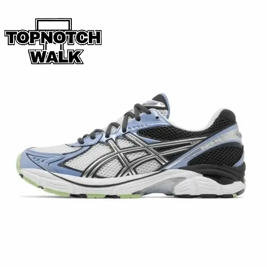 *sics GT 2160 series