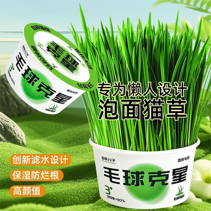 Lazy Person's Instant Noodles, Cat Grass, Small Potted Plants, Self-Grown Hair Ball Nemesis, Natural Hair Removal, Cat Snacks, Pet Supplies