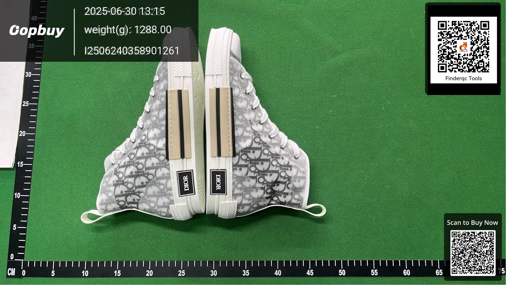 Dior B23 sneakers white