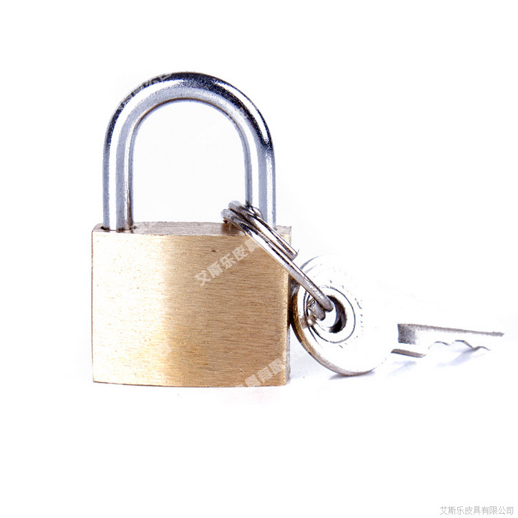 Esle adult fun open type small copper lock small padlock for mouth ball mouth plug restraint belt and other supplies wholesale