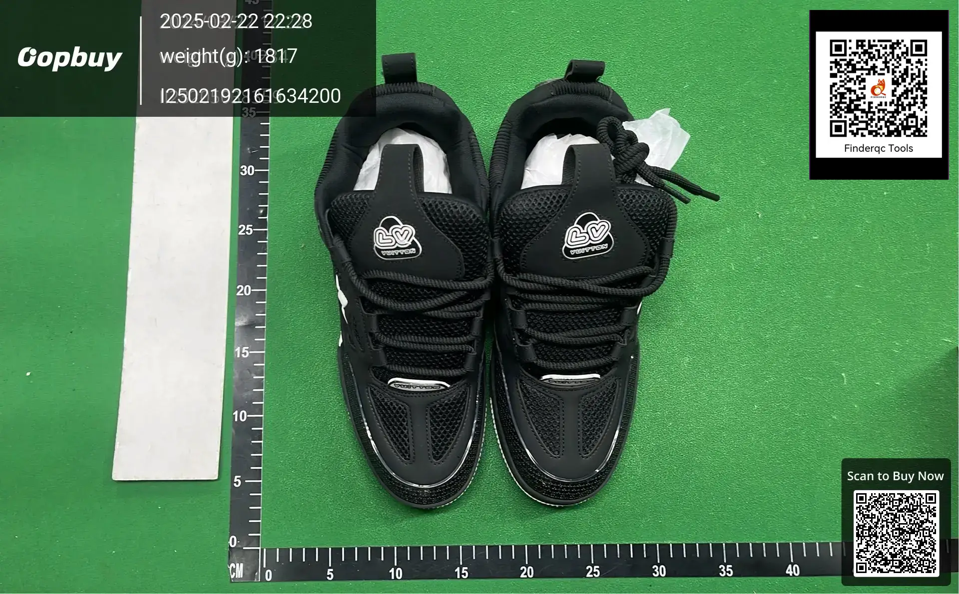 Louis Vuitton LV Trainer Black