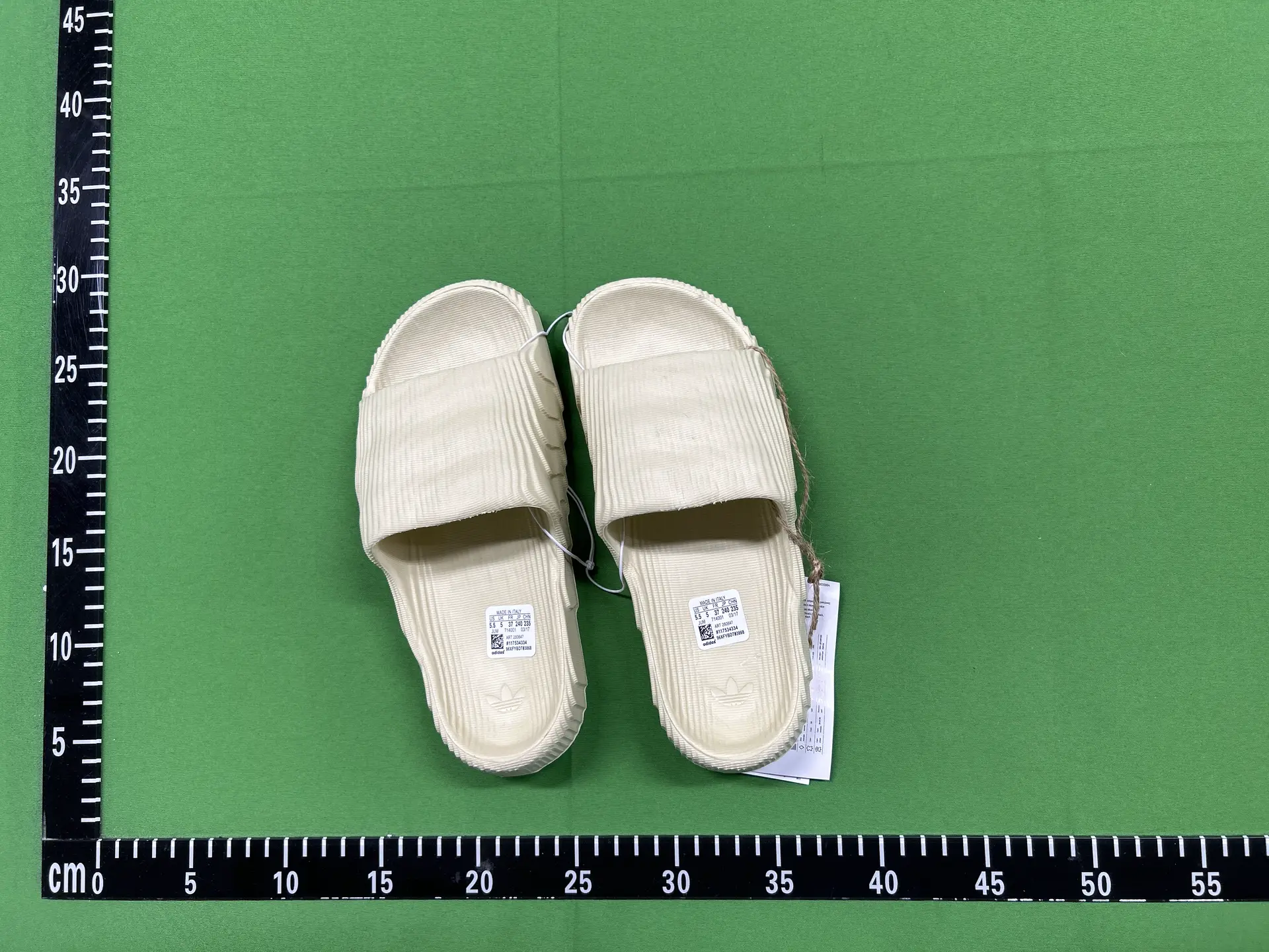 GS.56537981
