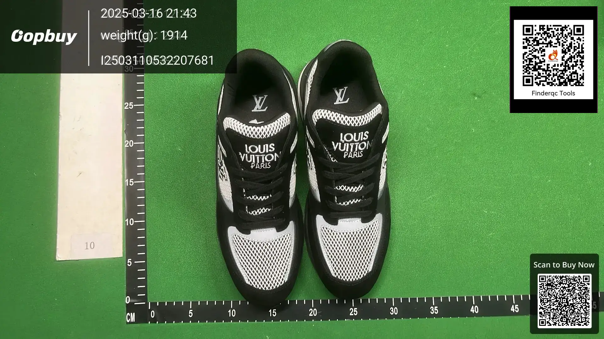 Louis Vuitton LV Trainer Black White