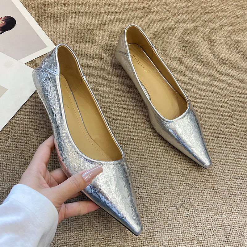 Hui Liya N663-1B Nude-Colored Flat Shoes with Pointed Toe, Hidden Height Increase, Shallow Mouth, Silver French-Style Elegant Women's Single Shoes