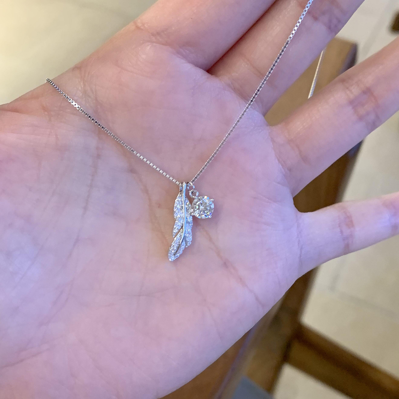 Qin Che Feather Sparkling Diamond Necklace 2026 New Model Light Luxury Fresh Niche Titanium Steel Non-Fading Clavicle Chain Jewelry Customization