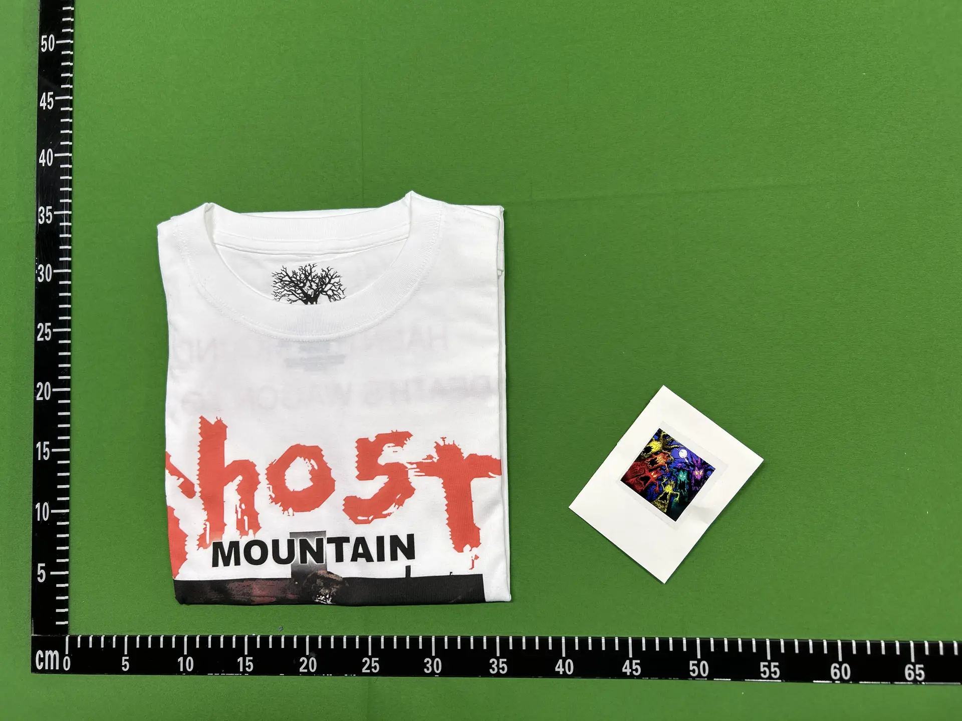 Haunted Mound Ghost Mountain 2025 American Retro T-Shirt