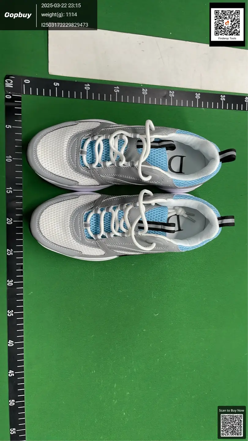 Dior B22 B30 Sneakers