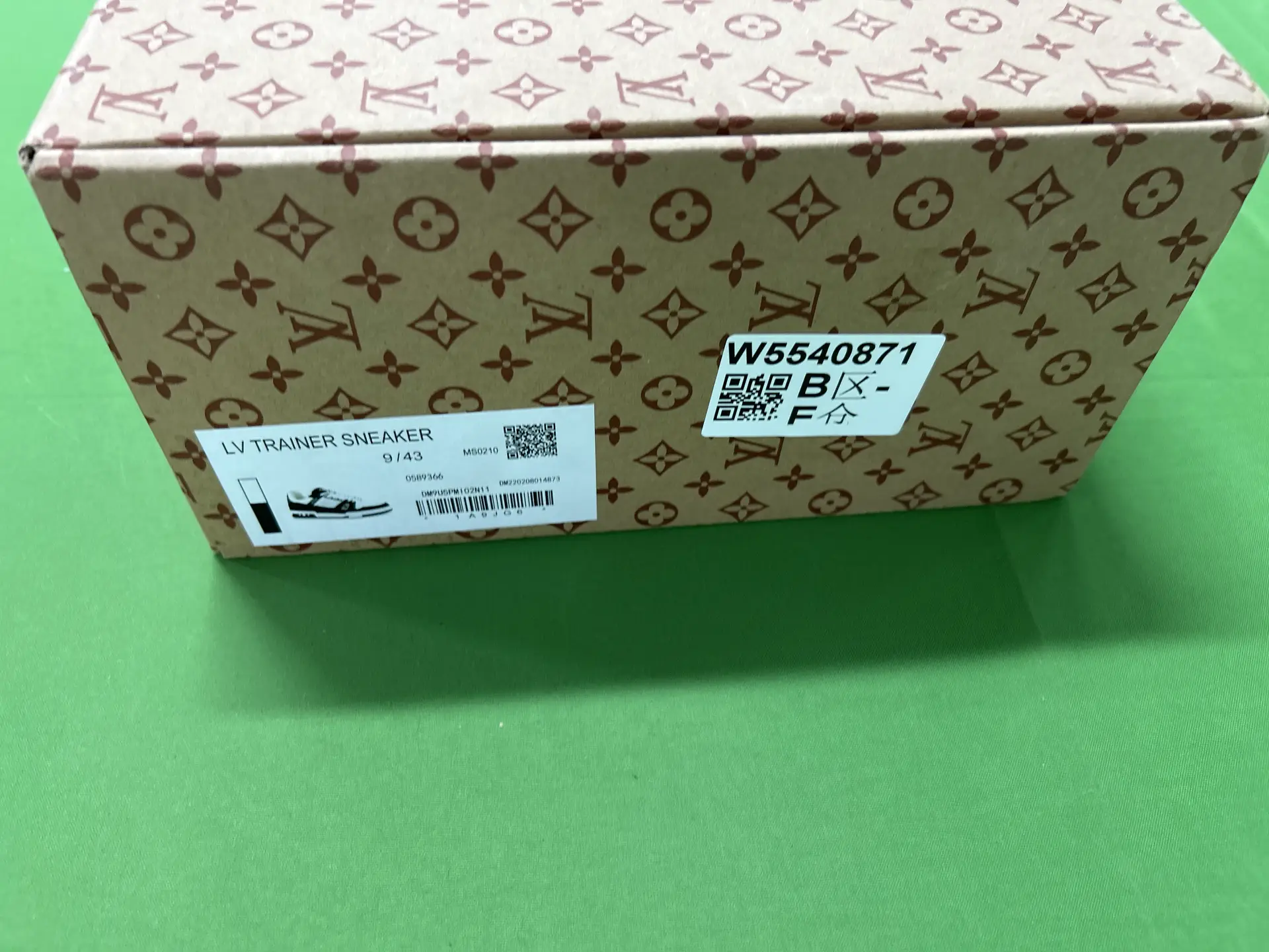 Louis Vuitton LV Trainer Sneaker