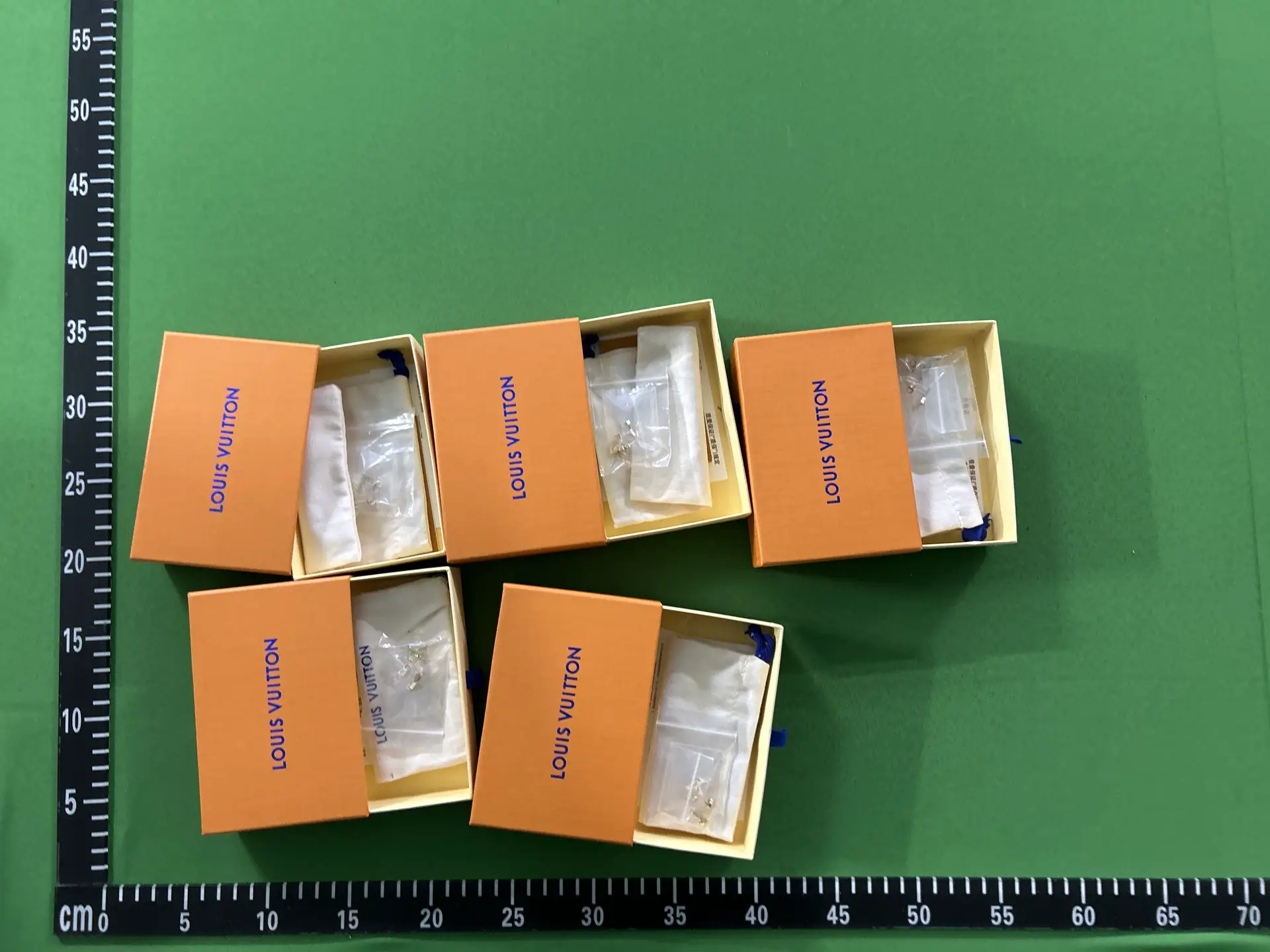 Louis Vuitton earrings