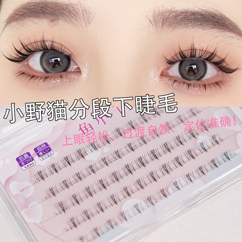 Fish little girl three-stage small wildcat eyelashes five rows of large capacity transparent thin stem natural simulation design wholesale