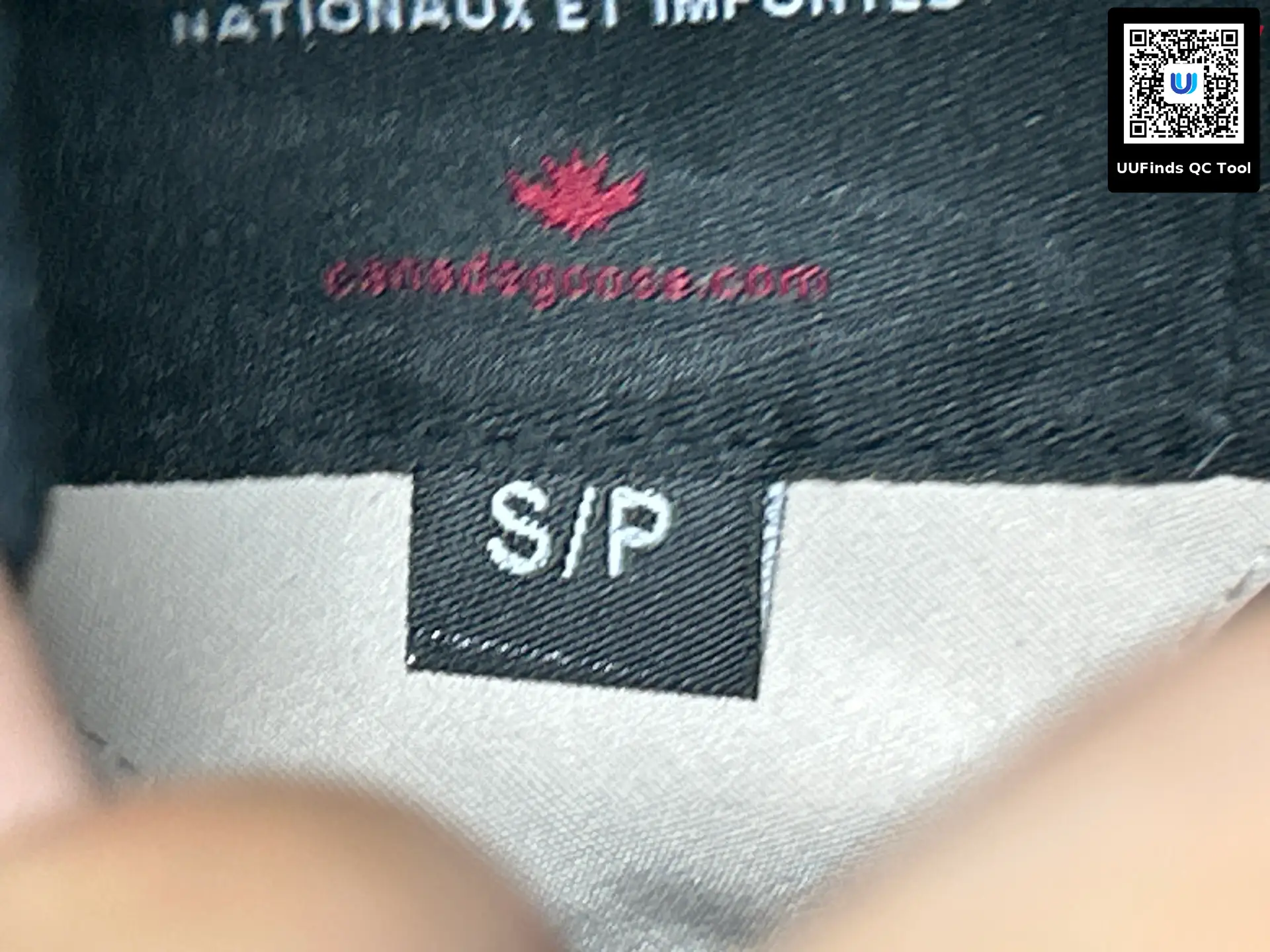 Canada Goose