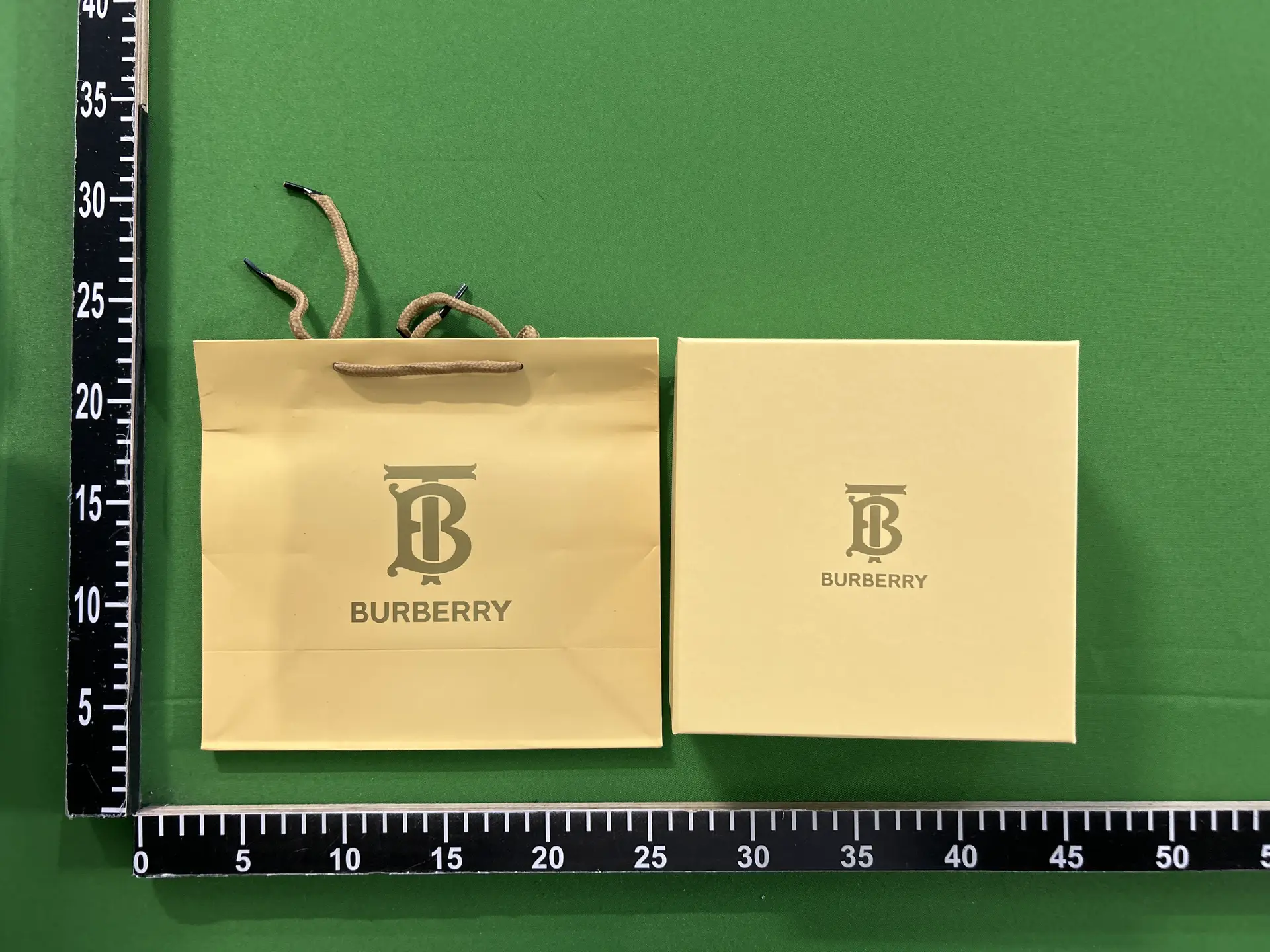 Burberry Belt