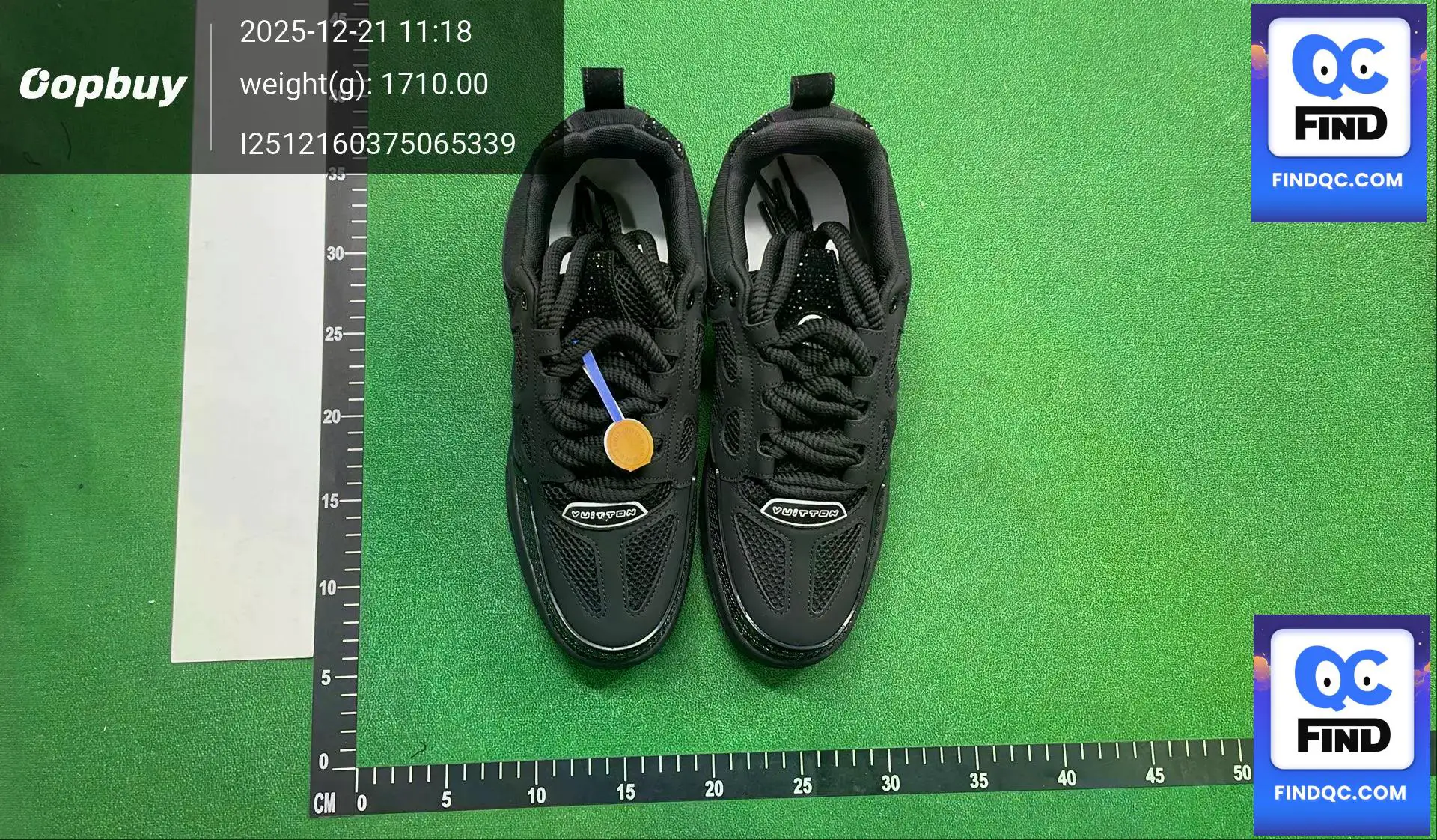 Louis Vuitton LV Trainer Black