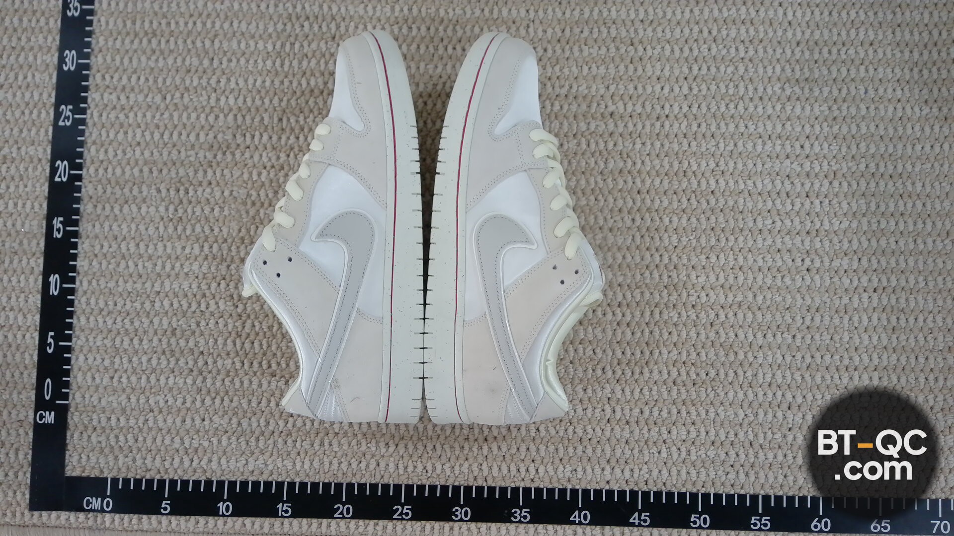 Nike SB Dunk Low FZ5654-100 Sneakers QC