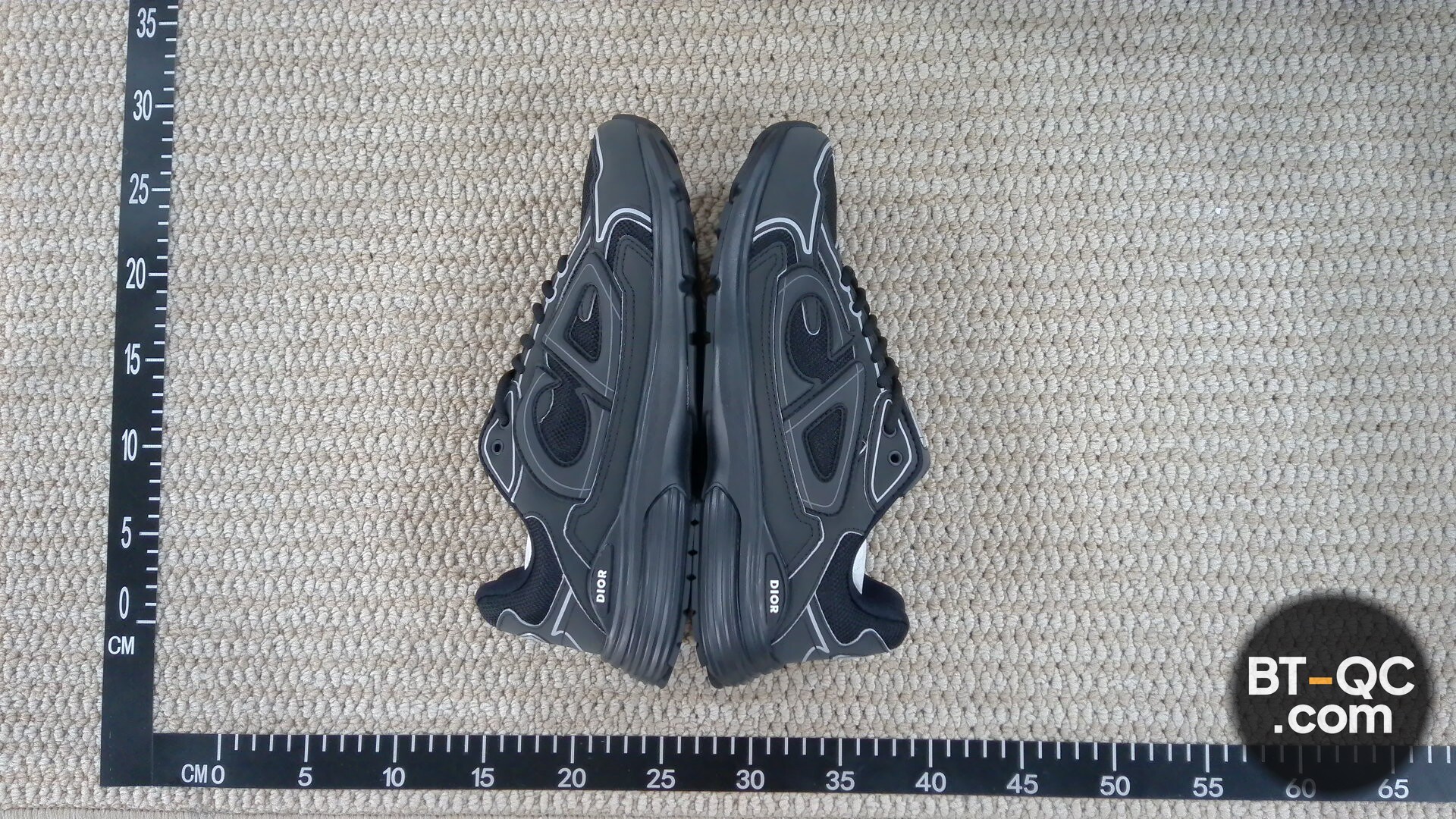 Dior B30 Sneakers Black QC
