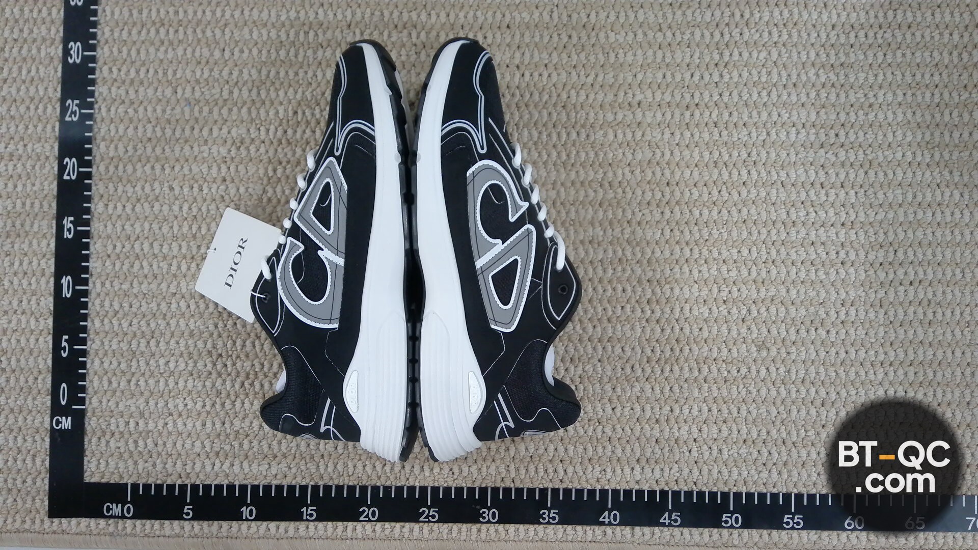 Dior B23 Sneakers Black White QC