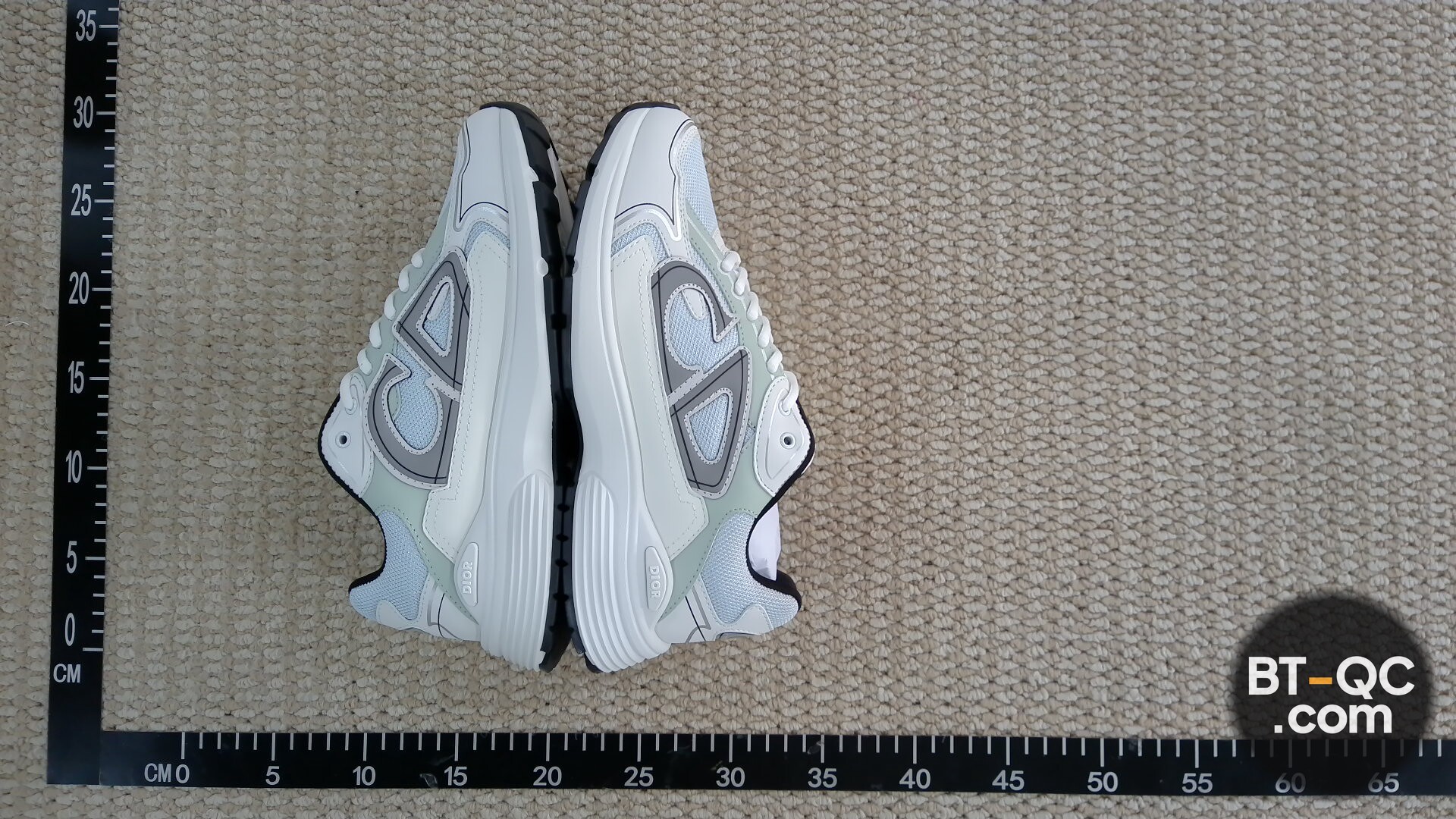Dior Sneakers QC