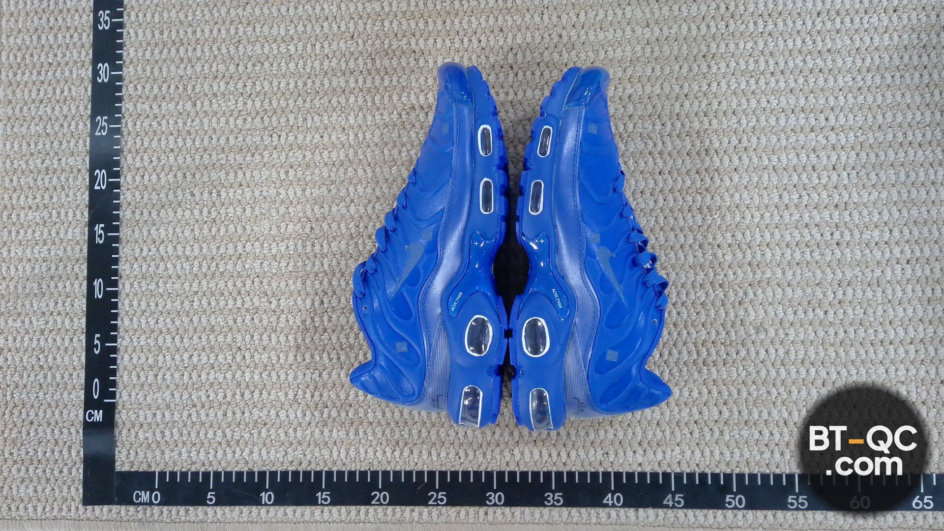Nike Air Max Plus TN SE Blue Sneakers QC