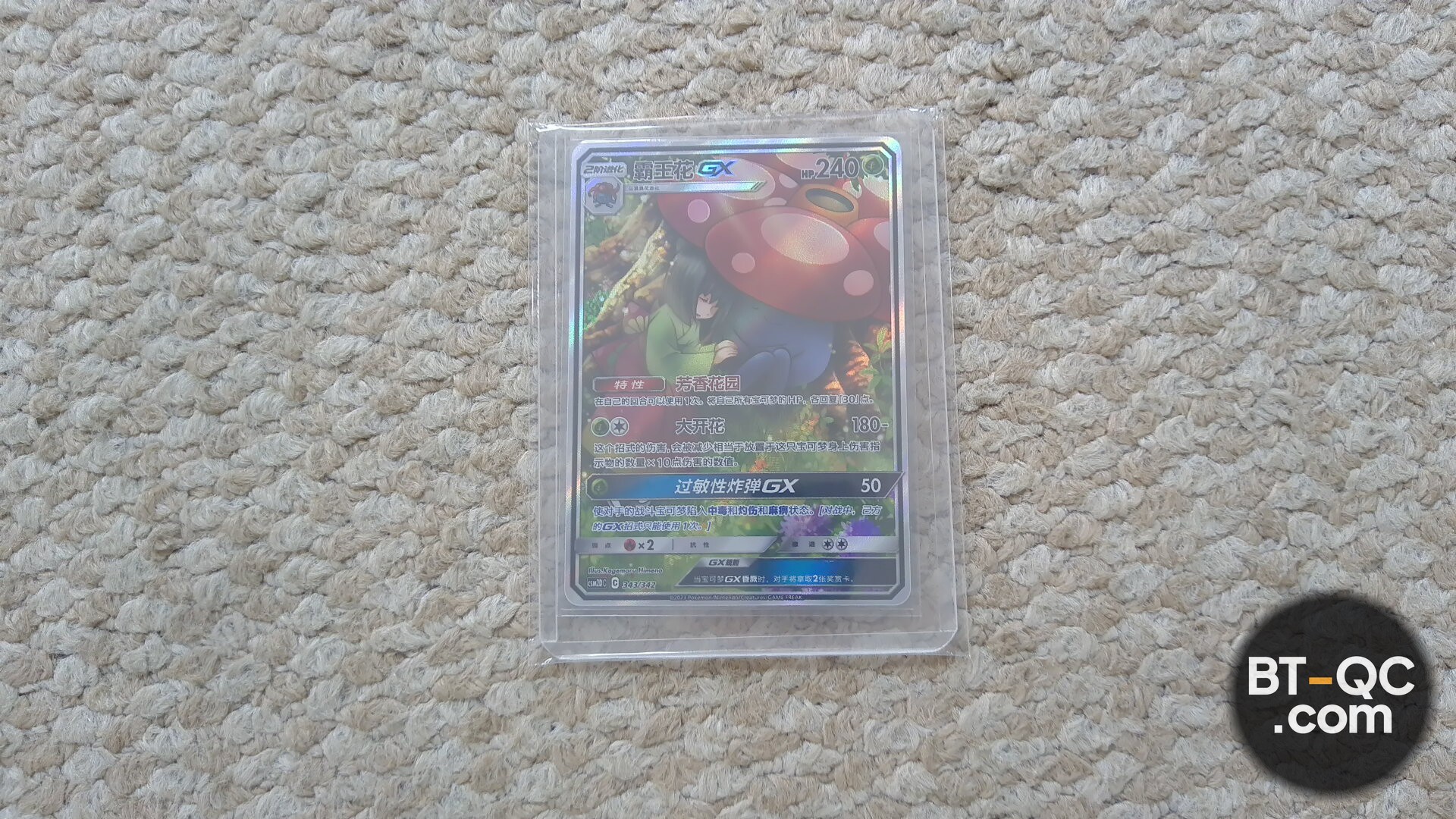 Pokemon Accessories QC