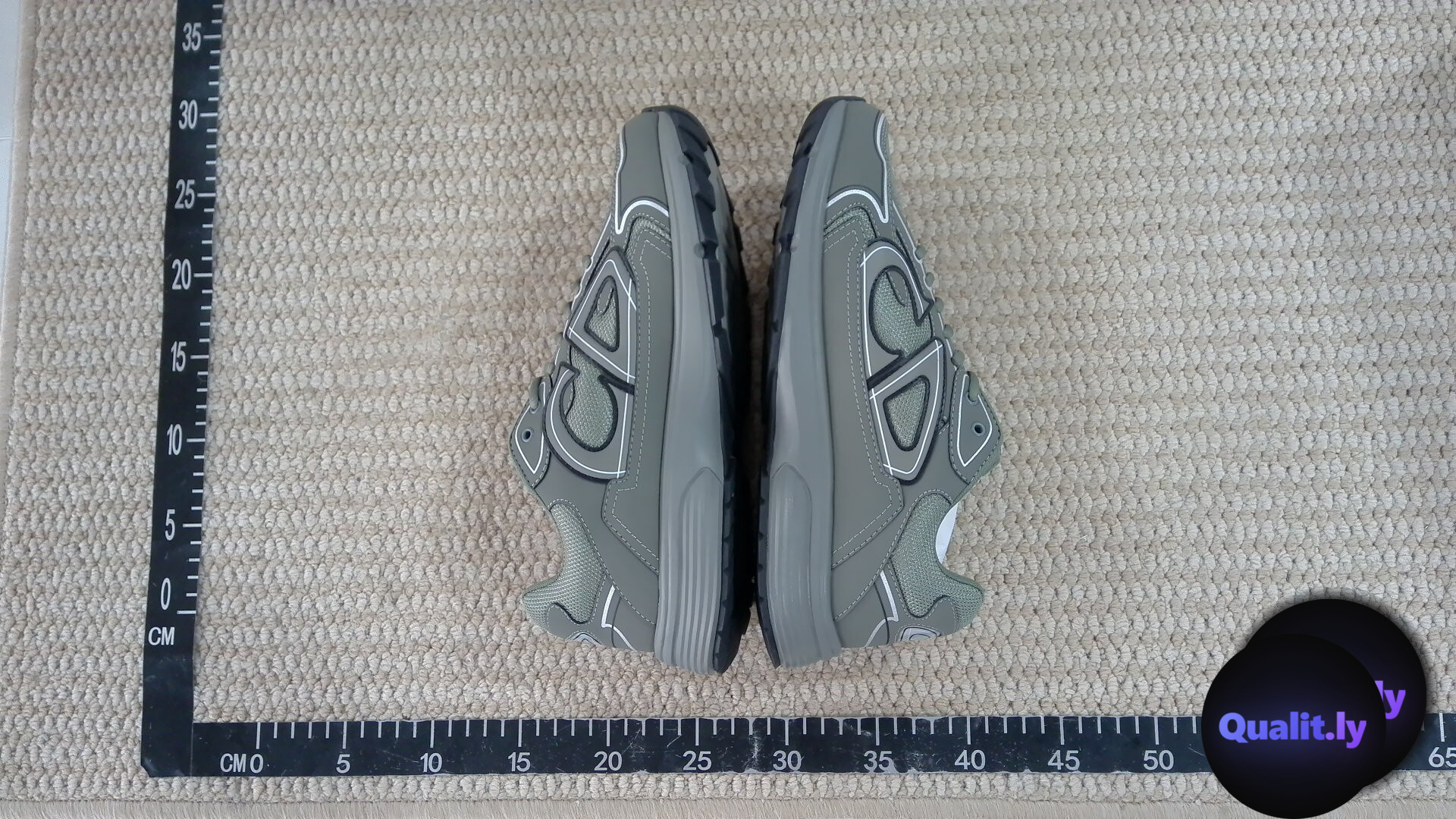 Dior B30 Sneakers QC