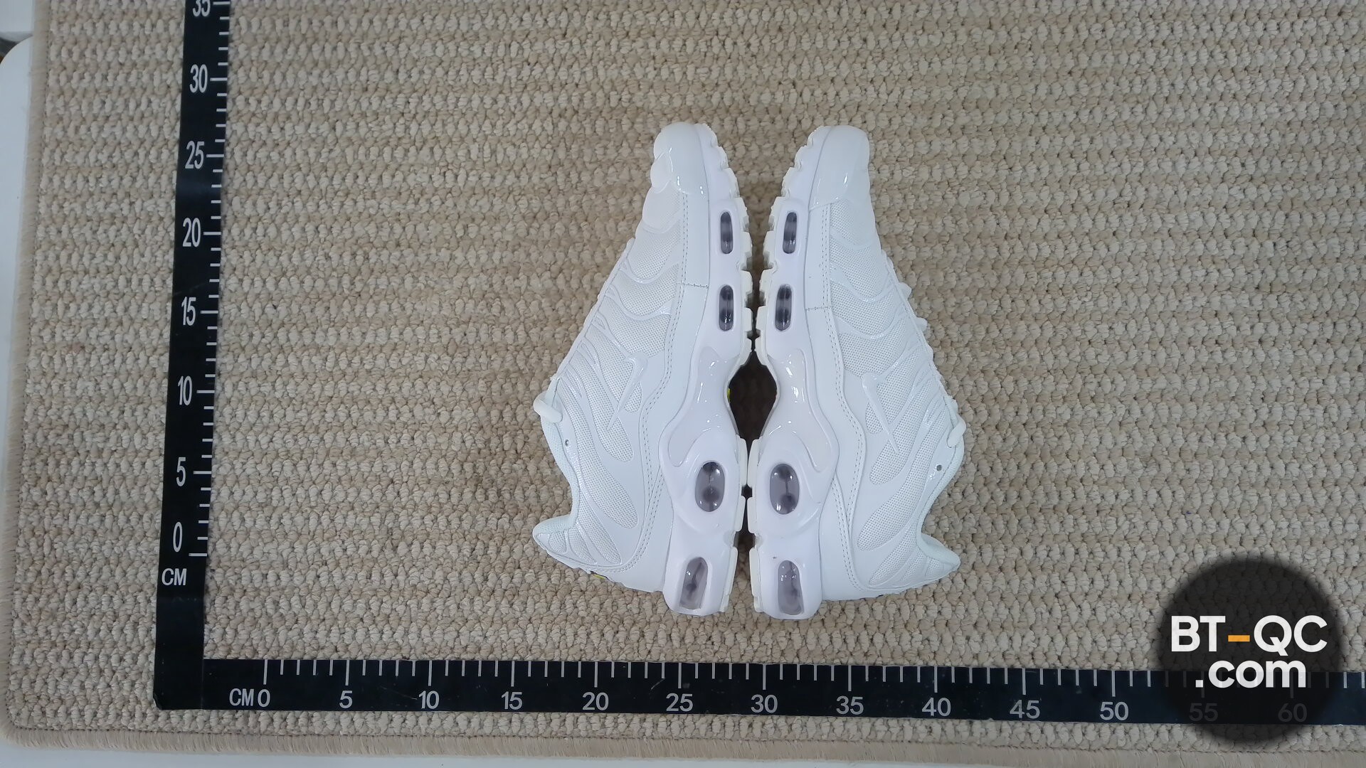 Nike Air Max Plus TN SE White Sneakers QC