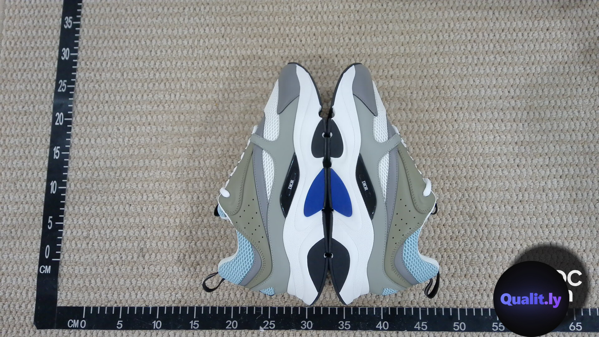 Dior B22 Sneakers QC