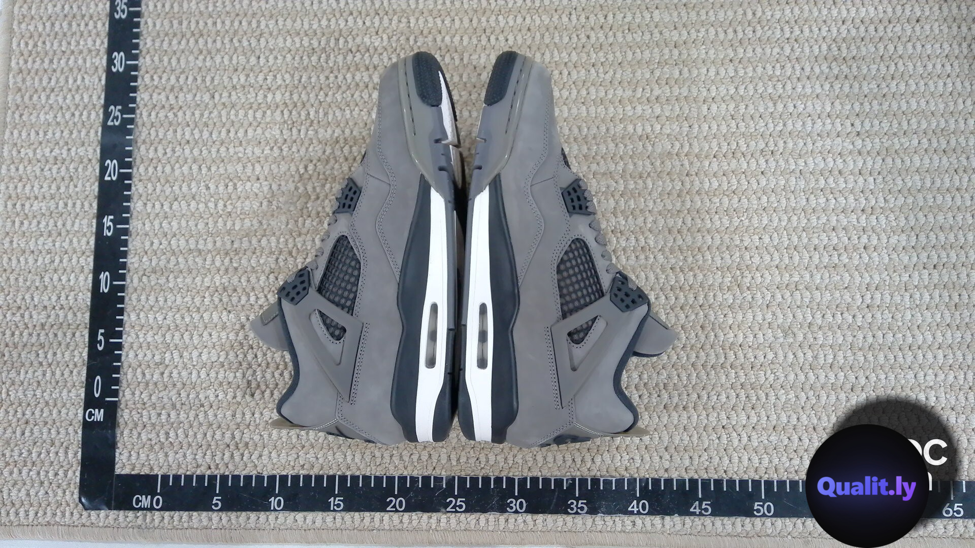Nike Air Jordan 4 FV5029-200 QC