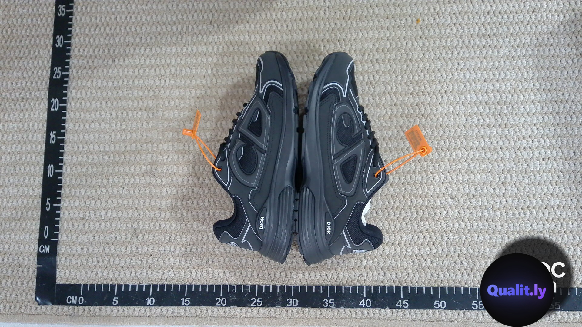 Dior B30 Sneakers Black QC