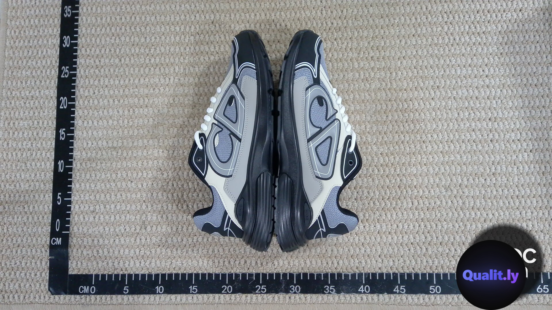 Dior Sneakers QC