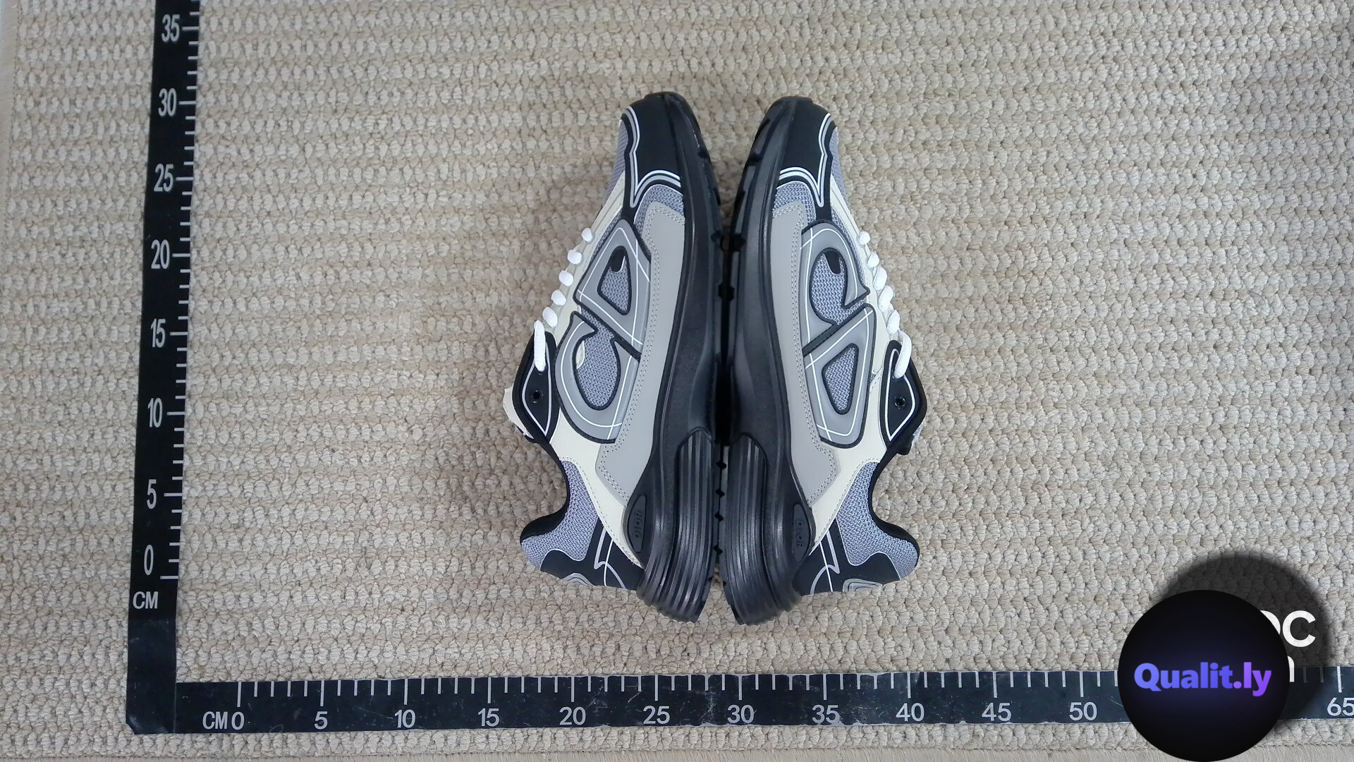 Dior Sneakers QC