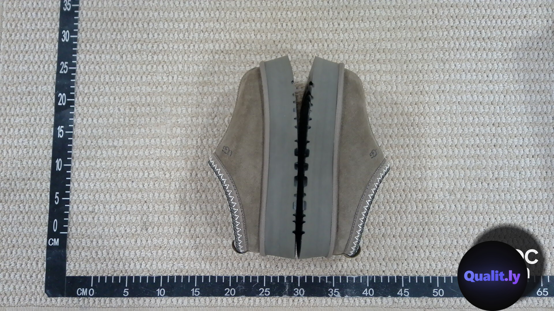 Ugg Tazz Shoes QC