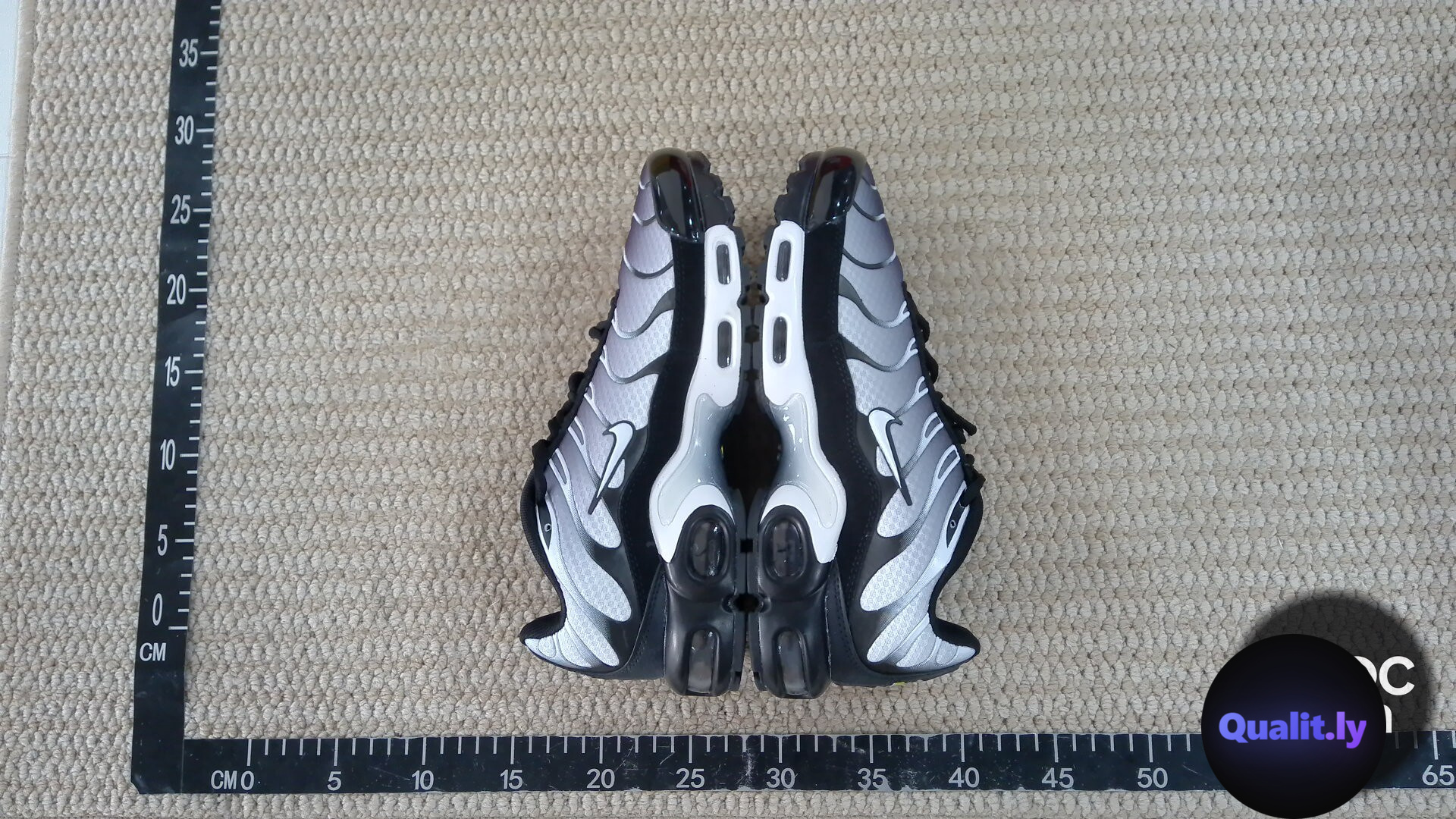 Nike Air Max Plus DM0032-003 Sneakers QC