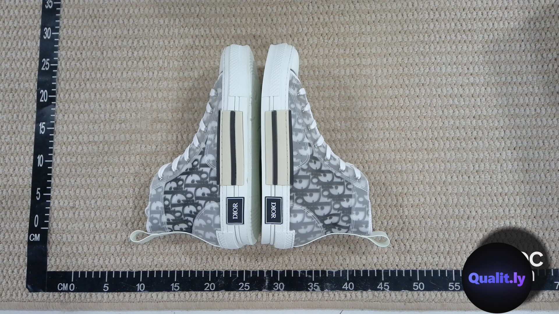 Dior B23 High Top Sneakers QC