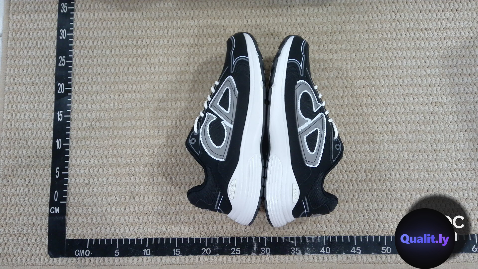 DIOR B30 CD sneakers QC