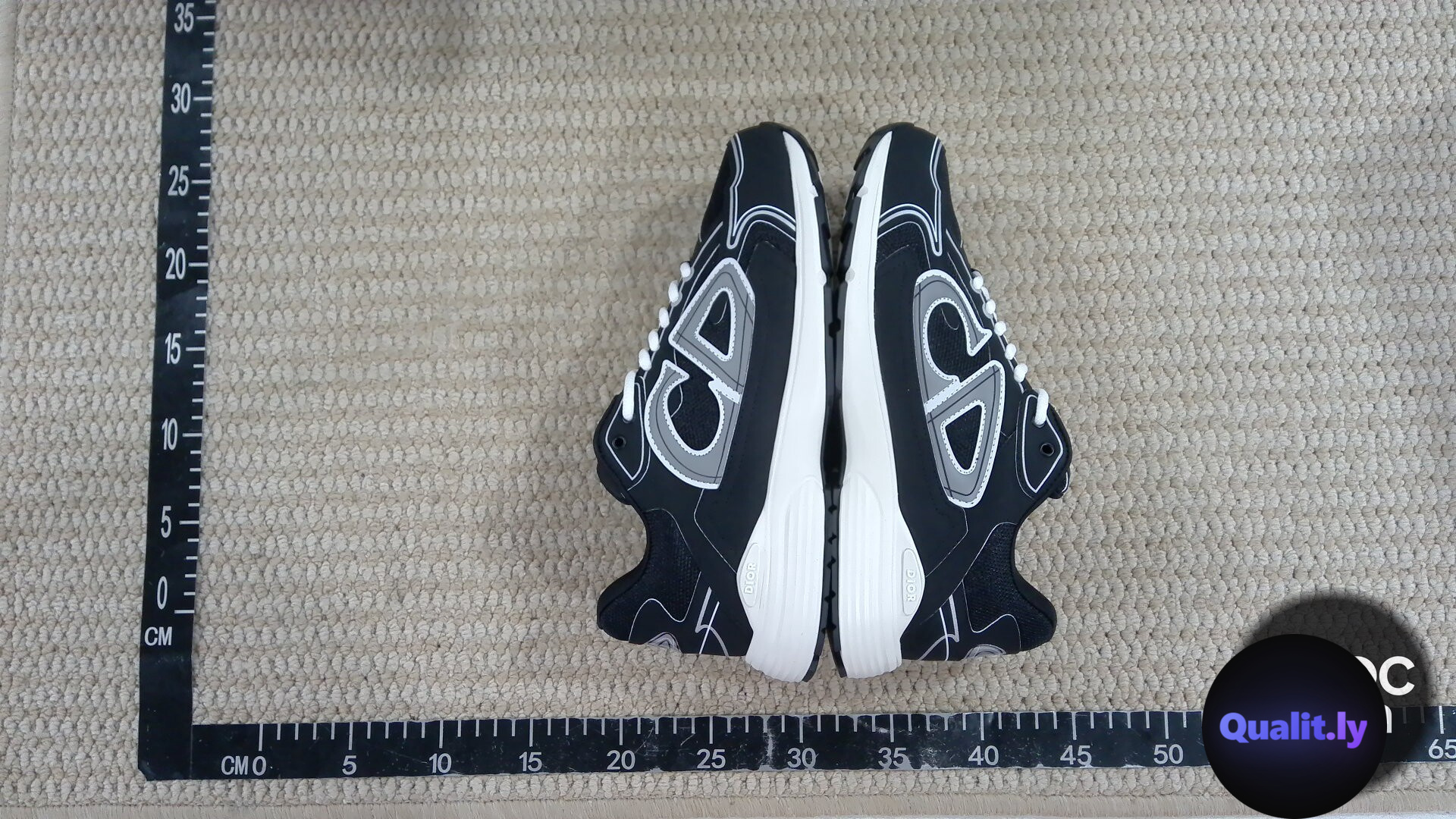 Dior B23 Sneakers Black White QC