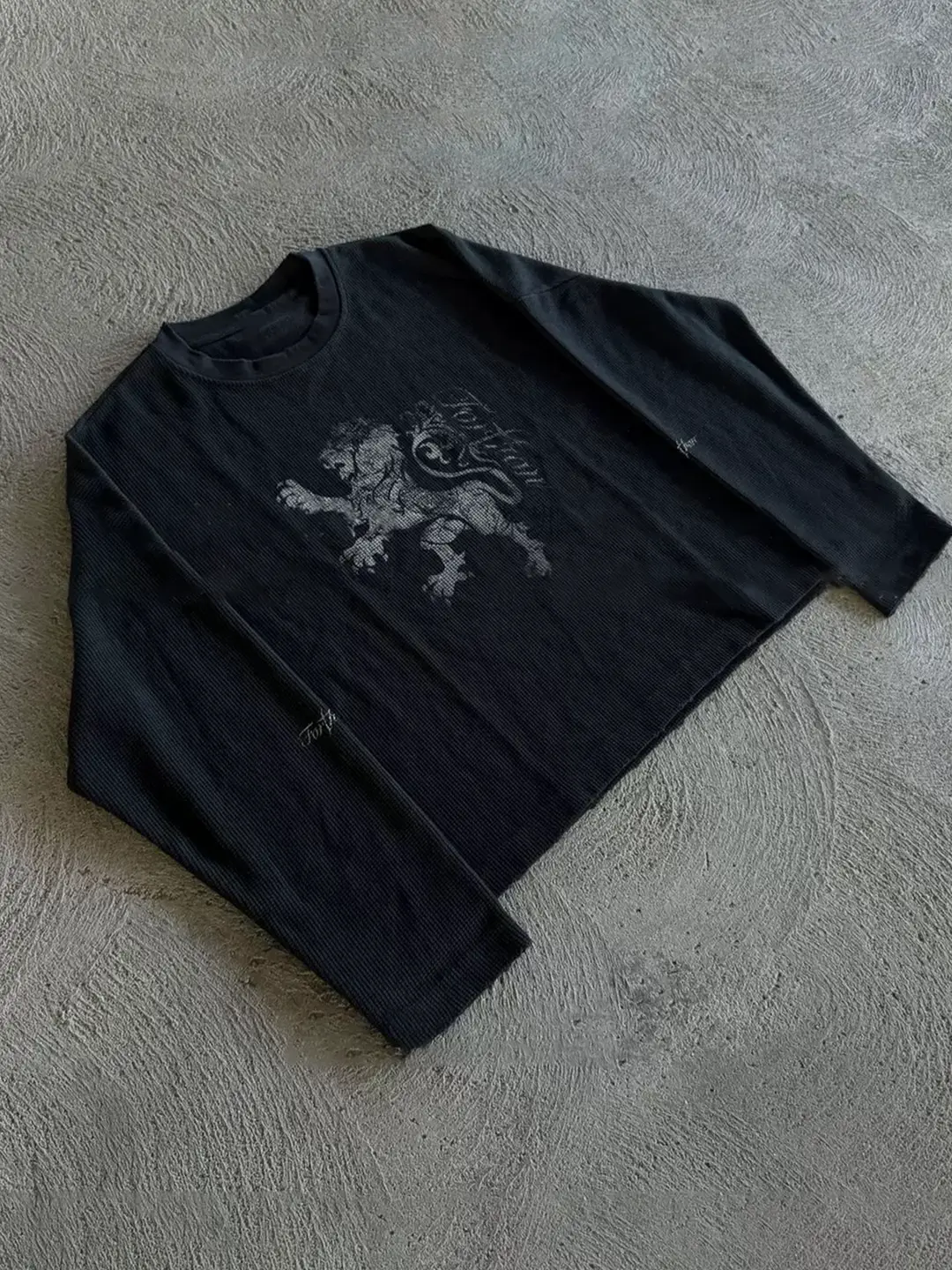 Y2K Hoodie~ American Niche Retro Lion Long-Sleeved T-Shirt for Men and Women, Loose and Versatile Casual Black Top
