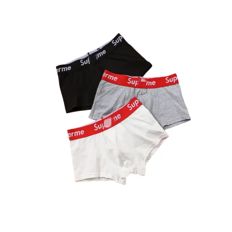 Panty 16