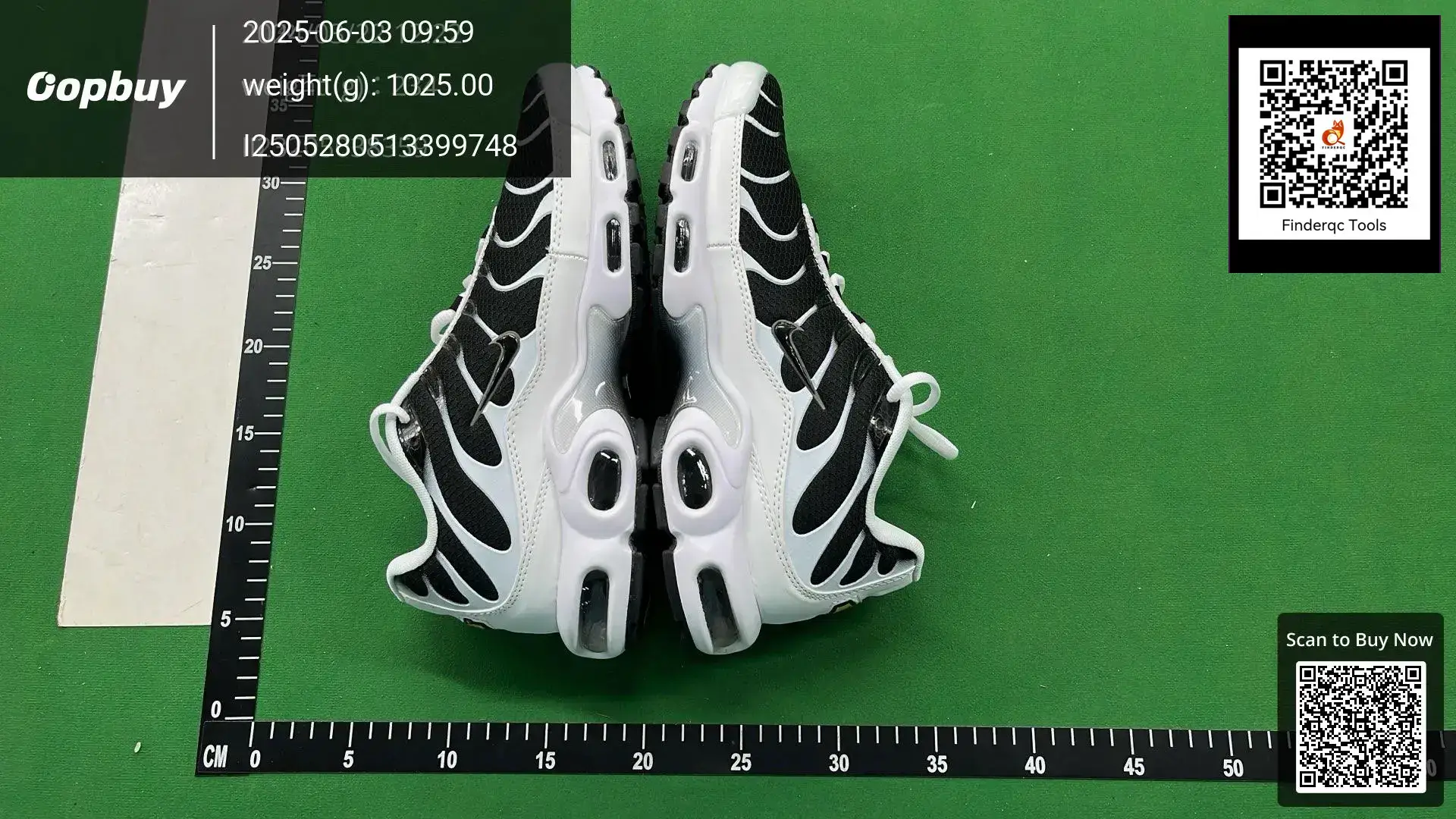 Nike Air Max Plus Black White